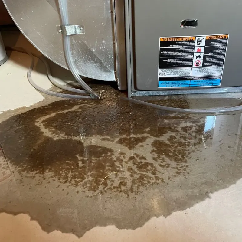 Pipe Burst and Leak Restoration in Fort Knox, KY